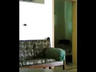 स्कारलेट सेक्सी वीडियो हिंदी मूवी में