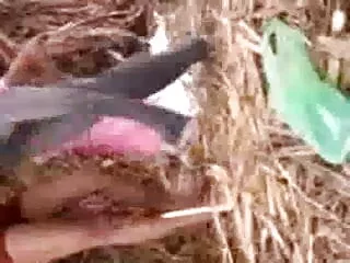 ब्रिटिश संवर्धन सेक्सी मूवी वीडियो में सेक्सी उमर गधा ऊपर क्रिस्टीन fucks