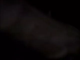 भव्य ब्लोजॉब सेक्सी वीडियो में मूवी निर्देश