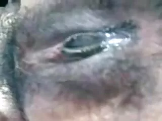 फ्रेंच फूहड़ कठिन गुदा सेक्स मूवी भोजपुरी में गड़बड़