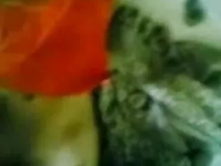 जापानी हिंदी में सेक्सी वीडियो फुल मूवी सुंदरियों